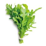 Rucula