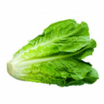 Lechuga Costina Picada